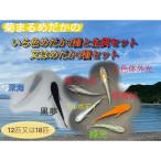 めだかセット 2種と生餌 又は3種 いろ色めだか3種セット