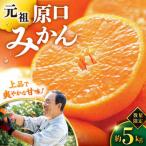 原口みかん 5kg
