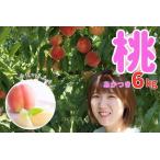 ふるさと納税 桃 あかつき 6kg＜7月下旬より発送＞ 長野県高森町