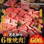 黒毛和牛 経産牛 6種焼肉セット 合計600g