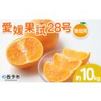 ふるさと納税 紅まどんなと同品種!<愛媛果試28号 家庭用 約10kg> 訳あり わけあり 自宅用 果物 フルーツ みかん ミカン 蜜柑 オレンジ えひめ.. 愛媛県西予市