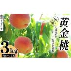 ふるさと納税 【先行受付(令和7年度発送)】山形もぎたて『黄金桃』(無袋)3kg FSY-2033 山形県