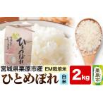 ふるさと納税 【EM栽培