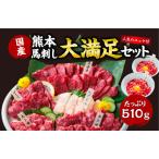熊本 馬刺し 大満足セットの馬肉ユッケ 100g付き 約12人前