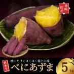 \焼き芋も天ぷらもおまかせ 産べにあずま