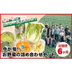 今が旬 お野菜の詰め合わせセット