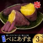 \焼き芋も天ぷらもおまかせ 産べにあずま