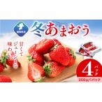冬あまおう 4パック