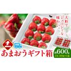 あまおう 箱 約600g