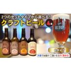 クラフトビール 4本 セット