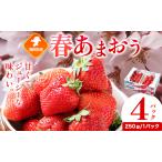 春あまおう 4パック