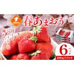春あまおう 6パック