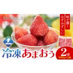 いちご 2026年度出荷 冷凍あまおう1kg 500g×2袋