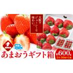あまおう 箱 約600g