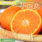 紀州有田産不知火 しらぬひ 約6kg