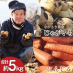 BI118 じゃがいも 人参 セット ながさき黄金&冬人参