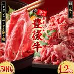 訳あり おおいた豊後牛しゃぶしゃぶすき焼き500gとおおいた…