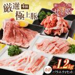豚肉バラエティセット約1 200g
