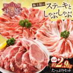 豚肉 セット約2.9kg