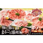 豚肉スペシャルセット約2 560g