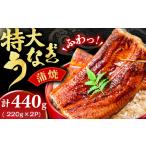 ふるさと納税 特大うなぎ蒲焼（220g×2尾） / うなぎ ウナギ 鰻 [AFBS005] 福岡県広川町