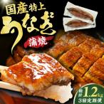 鰻蒲焼 特上品 200g×2尾