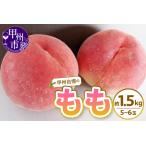ふるさと納税 甲州自慢の桃 約1.5kg（5〜6玉入り）【2026年発送】（NK）A08-420 桃 フルーツ 山梨県甲州市