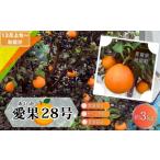 ふるさと納税 【先行予約 数量限定】訳あり 愛果28号 サイズ不揃い 約3kg 約15玉前後 12月上旬頃から順次<家庭用 農園 直送 みかん 柑橘 旬にお.. 愛媛県砥部町
