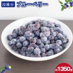 冷凍 ブルーベリー 約1350g