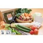 BD024 大三東からお届け 野菜セット