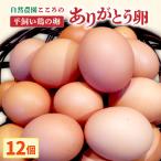 自然農園 こころの平飼い ありがとう卵 12個