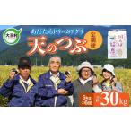 特別栽培米 30kg