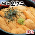 ふるさと納税 無添加 生うに 100g 冷蔵 うに 寿司 キタムラサキウニ 小分け 雲丹 ウニ 岩手県大船渡市