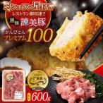 黒豚諫美豚プレミアム100 ヒレカツ用 600g
