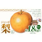 梨 荒尾ジャンボ梨 新高梨 2玉入り