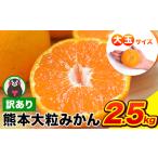 ふるさと納税 ご家庭用 熊本 大粒みかん 約2.5kg (3L〜5Lサイズ)大玉 みかん 先行予約 熊本 ちょっと 訳あり 傷 たっぷり 熊本県産 熊本県 期間.. 熊本県長洲町