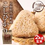 MS-96 産こしひかり 2kg