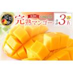 2027年出荷 2L×1玉マンゴー