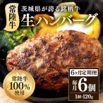 生ハンバーグ120g×6個