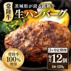 生ハンバーグ120g×12個