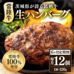 生ハンバーグ120g×12個