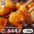 味付け ホルモン 600g