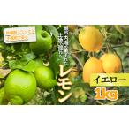 レモン イエローレモン 約1kg