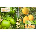 グリーンレモン2.5kg レモン