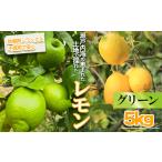 グリーンレモン 約5kg