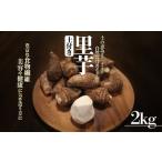 里芋 愛媛農試V2号 2kg
