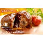 飛米牛入りデミグラスハンバーグ 180g×2枚