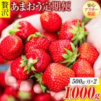 あまおう 1000g