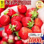 あまおう 1500g
