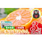 ふるさと納税 訳あり 大粒みかん 約3kg 《2026年1月中旬-2月末頃出荷》みかん 訳ありみかん 熊本県産みかん 大容量 熊本県荒尾市